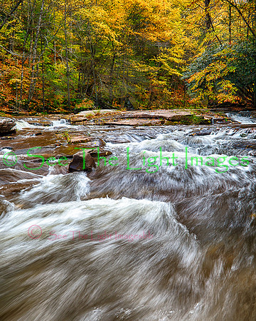 Williams River